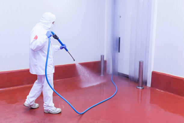 Best Paint Preparation  in Keokuk, IA